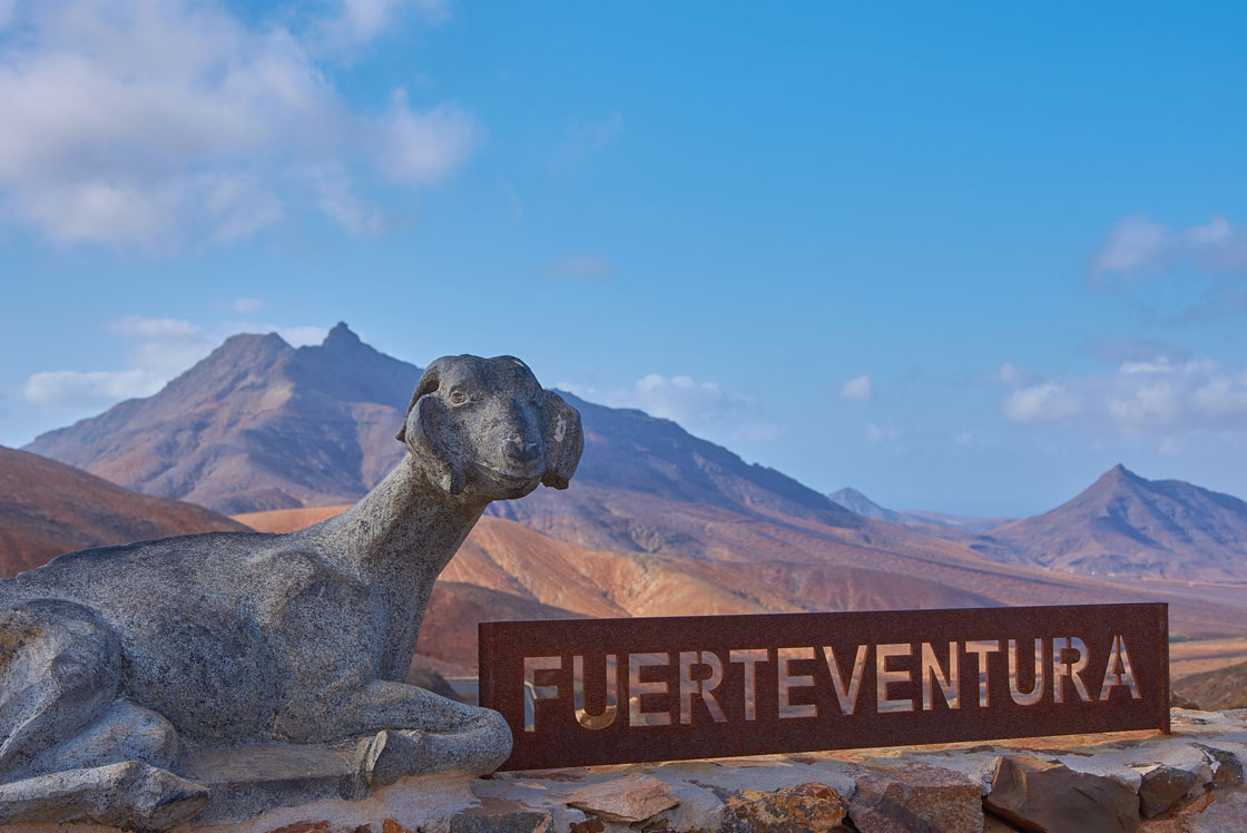 Spanischkurs Fuerteventura